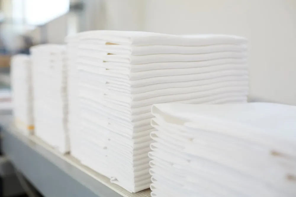 Blanchisserie à Béguey